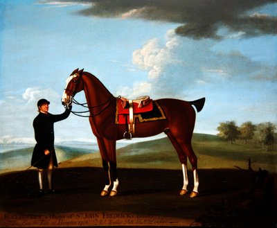 El cazador de bahía de Sir John Frederick 