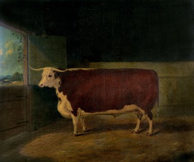 Retrato de un Buey Hereford Premiado, 1874 de Richard Whitford
