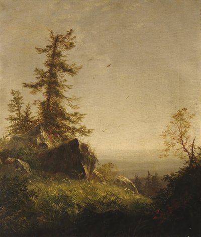 Mañana en la montaña, 1856 de Richard William Hubbard