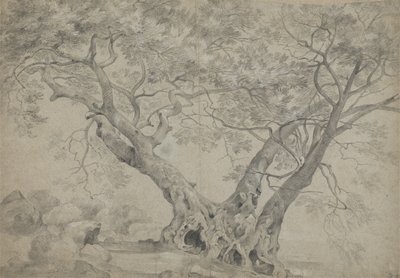 El Arbra Sacra en las orillas del lago Nemi, c.1754-56 (tiza blanca y negra sobre papel) de Richard Wilson