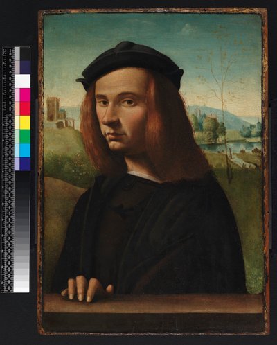 Retrato de un joven, 1500 de Ridolfo Ghirlandaio