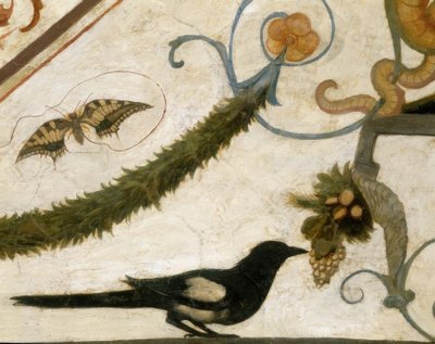 R.Ghirlandaio, Grotesco, Pájaro de Ridolfo Ghirlandaio