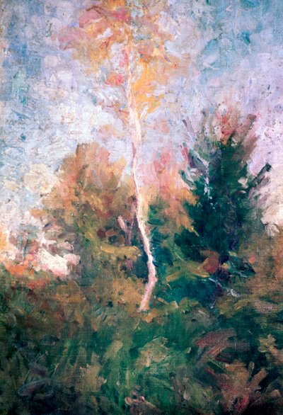 El abedul, c1889-1943 de Rihard Jakopic
