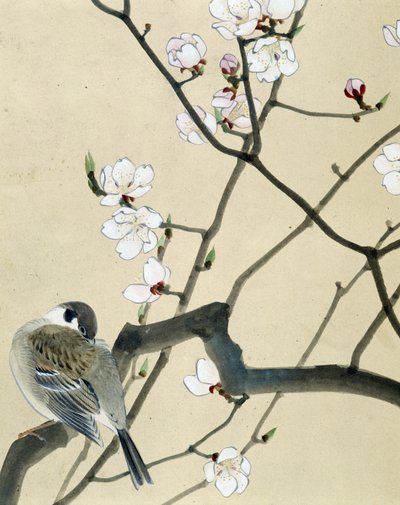 Pájaro - Dibujo japonés de Riou Chim, finales del siglo XIX de Riu Chim
