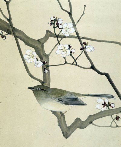 Pájaro - Dibujo japonés de Riou Chim, finales del siglo XIX de Riu Chim