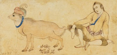 Estudio de un joven y un carnero, 1630-31 o posterior de Riza i Abbasi