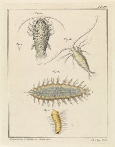 Cochinilla de ágata, copépodo y gusano de cerdas de Robbert Muys