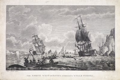 La pesquería de ballenas de North West o Davis