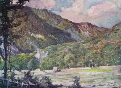 Un campo de heno cerca de Portmadoc de Robert (after) Fowler