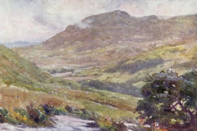 Un paso de montaña, mediodía de Robert (after) Fowler