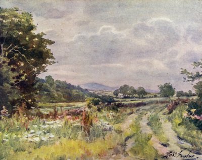 Camino rural de Robert (after) Fowler