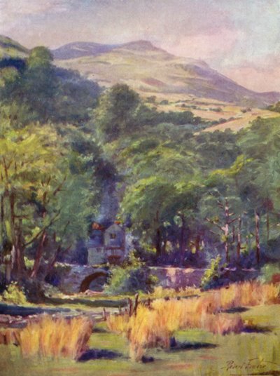Montaña Duffws de Robert (after) Fowler