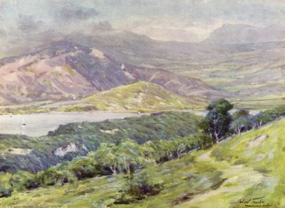 Montaña Duffws en la niebla de Robert (after) Fowler