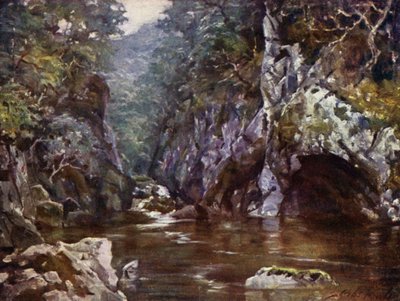 Glen de las Hadas, Bettws-y-Coed de Robert (after) Fowler