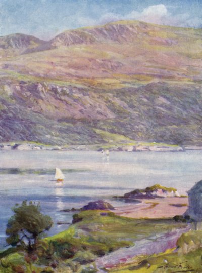 Tarde Soleada, Bahía de Cardigan de Robert (after) Fowler