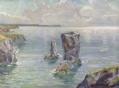 Las Pilas, cerca de Tenby de Robert (after) Fowler