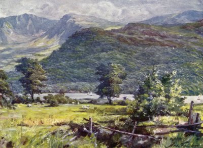 Vista de Cader Idris (litografía en color) de Robert (after) Fowler
