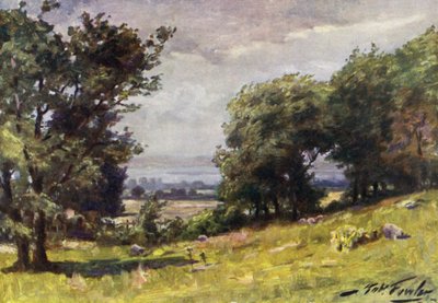 Día ventoso, cerca de Llanrug de Robert (after) Fowler