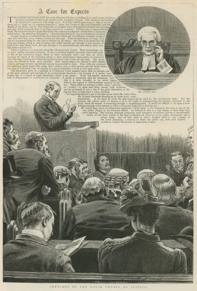 Un caso para expertos: Bocetos en los Tribunales Reales de Justicia; con una viñeta del Sr. Justice Kay de Robert Barnes