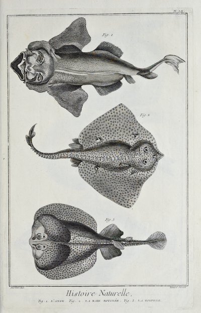 Ilustración de 