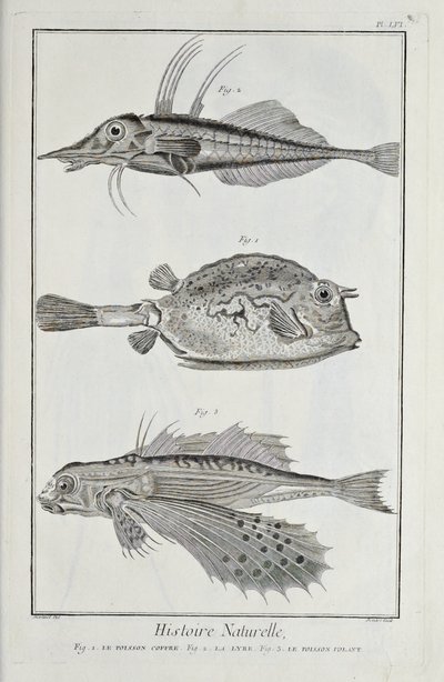 Ilustración de 