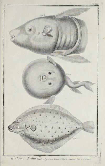 Ilustración de 