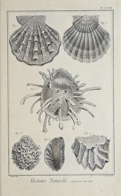 Ilustración de 