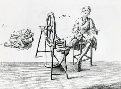 Economía rústica, algodón, de la Enciclopedia de Denis Diderot 1713-84 (detalle) de Robert Benard
