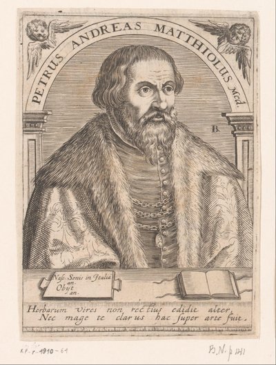 Retrato de Pietro Andrea Mattioli Peter Andrew Matthews Med. (título en el objeto) Serie de retratos de eruditos de los siglos XV y XVI (título de la serie) de Robert Boissard