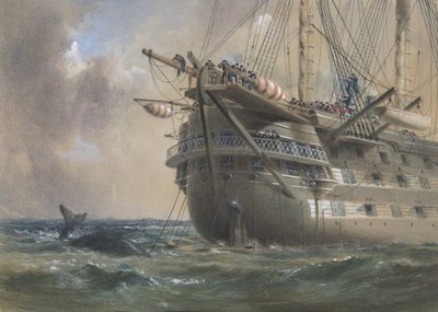 H.M.S. Agamemnon tendiendo el cable telegráfico atlántico en 1858: una ballena cruza la línea, 1865-66 de Robert Charles Dudley