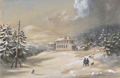 Bahía de la Trinidad, Terranova, Vista Exterior de la Casa del Telégrafo en 1857-1858, 1865-66. de Robert Charles Dudley