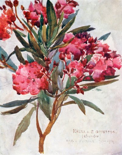  de Robert Charles Goff
