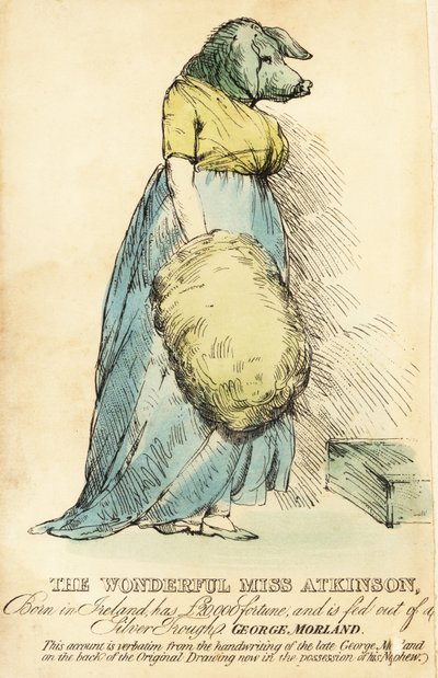 La dama con cara de cerdo, famosa en Londres hacia 1815. de Robert Cooper