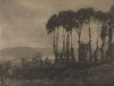 Camera Work: Valle de Toucques, 1906 de Robert Demachy