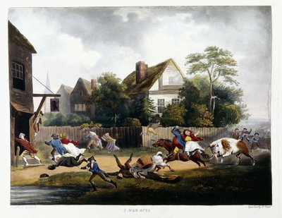 Un Toro Loco, 1806 de Robert Dodd