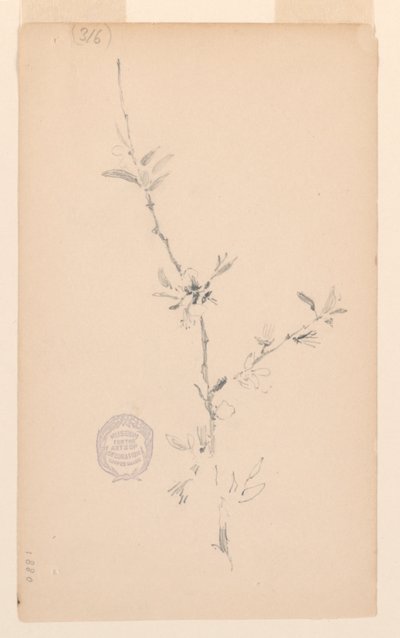 Rama de Robert Frederick Blum