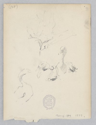 Patos de Robert Frederick Blum