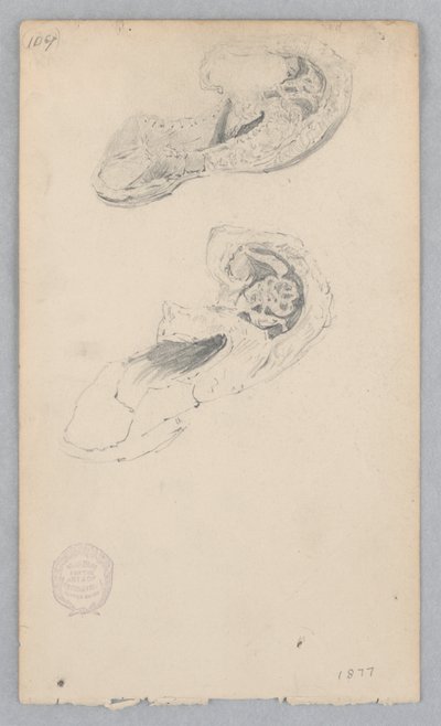 Zapato de Robert Frederick Blum