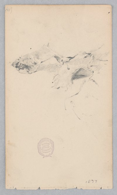 Alfombra de piel de tigre de Robert Frederick Blum