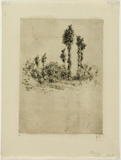 Paisaje inacabado de Robert Frederick Blum