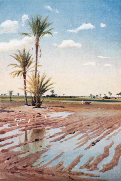  de Robert George Talbot Kelly