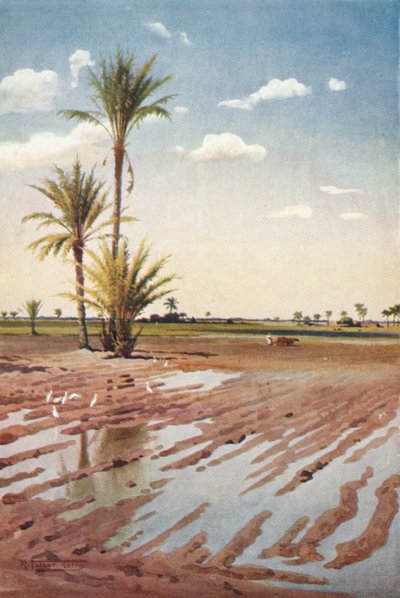 Un campo irrigado, c. 1880, 1904 de Robert George Talbot Kelly