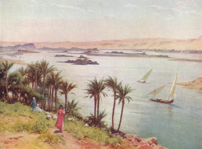 Primera catarata desde la isla Elefantina, c1880, 1904 de Robert George Talbot Kelly