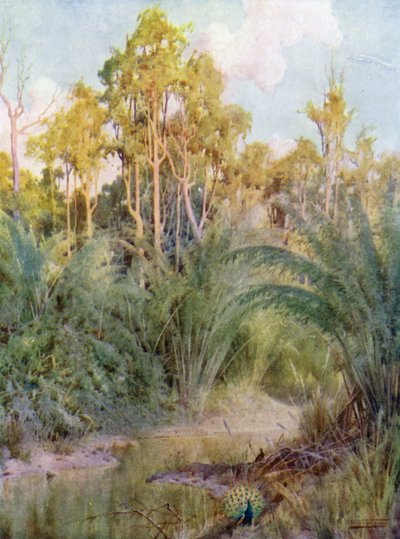 El hogar del pavo real de Robert George Talbot Kelly