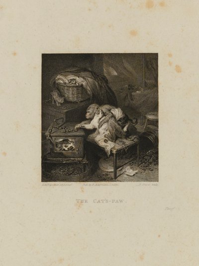 La pata del gato de Robert Graves