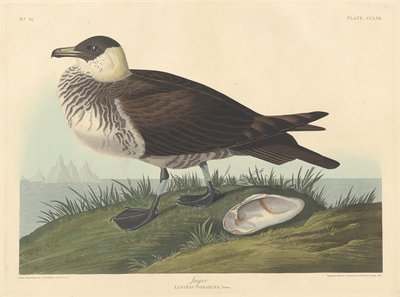 Jager de Robert Havell