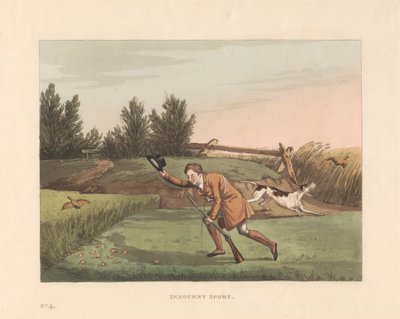 Rodaje: Lote de seis con portada y sobrecubierta impresa: Sporting Miseries, or Six Red Letter Days in the country de Robert Havell