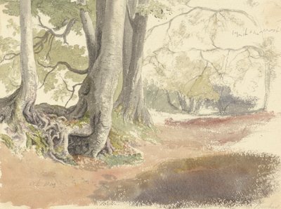 Haya de Robert Hills