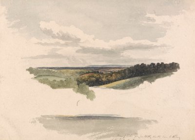 Entre Netley Heath y Albury de Robert Hills