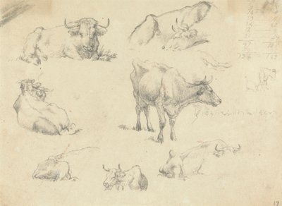 Vacas desde varios ángulos de Robert Hills